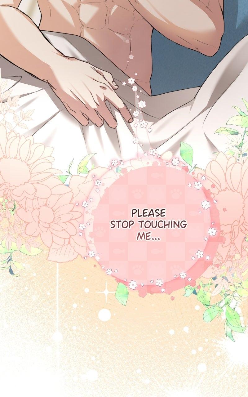Read Contract Marriage with the Second Lead Manga Online