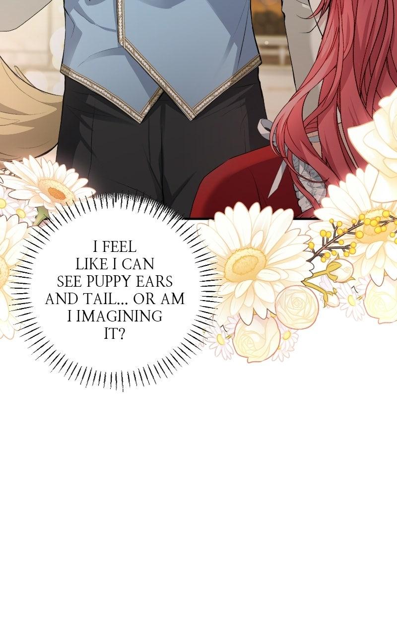 Read Contract Marriage with the Second Lead Manga Online