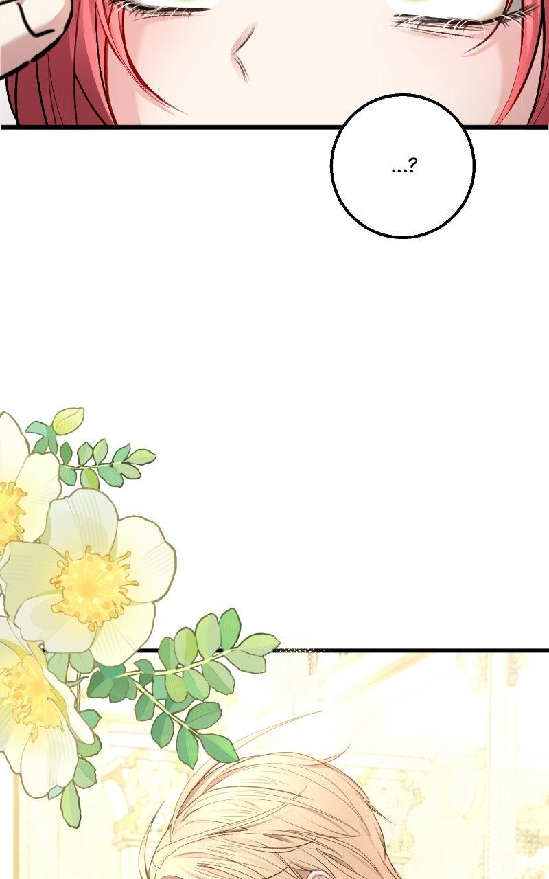 Read Contract Marriage with the Second Lead Manga Online