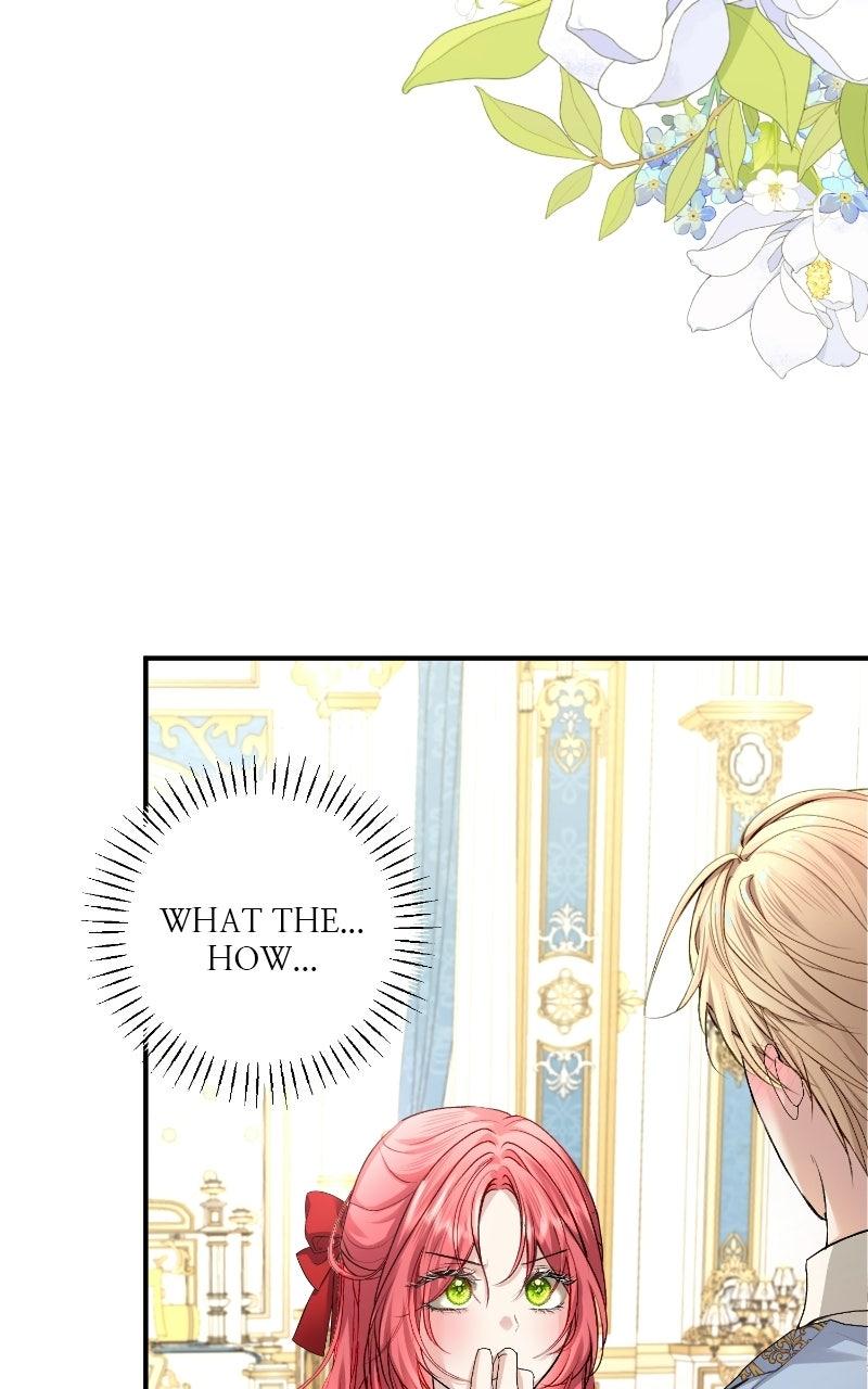 Read Contract Marriage with the Second Lead Manga Online