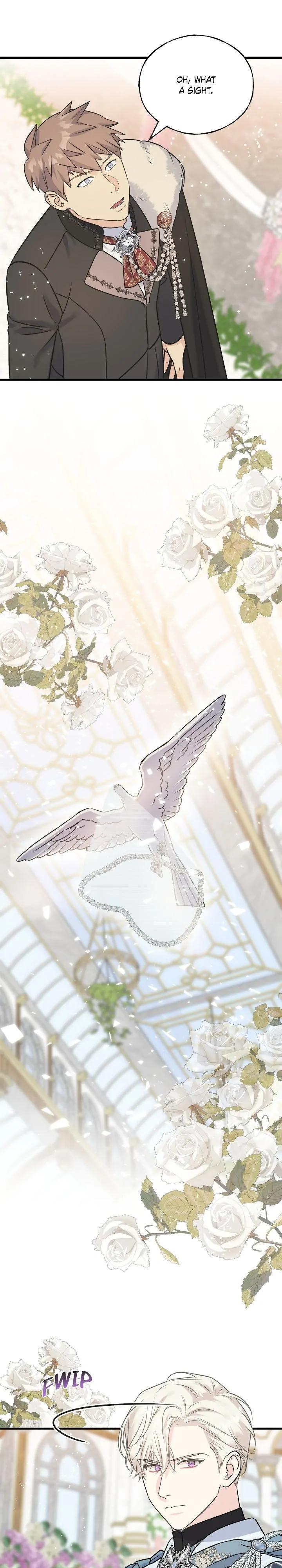 Read Crows Like Things That Sparkle Manga Online