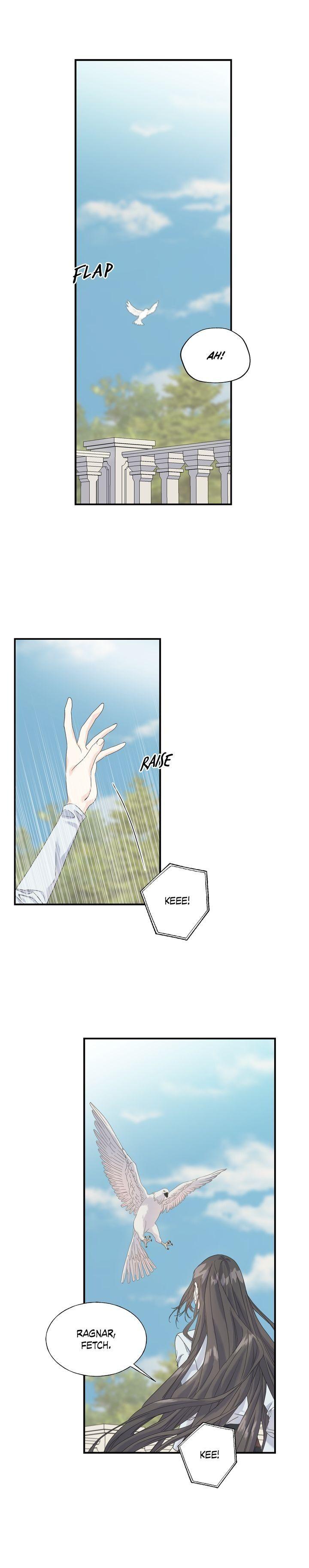 Read Crows Like Things That Sparkle Manga Online