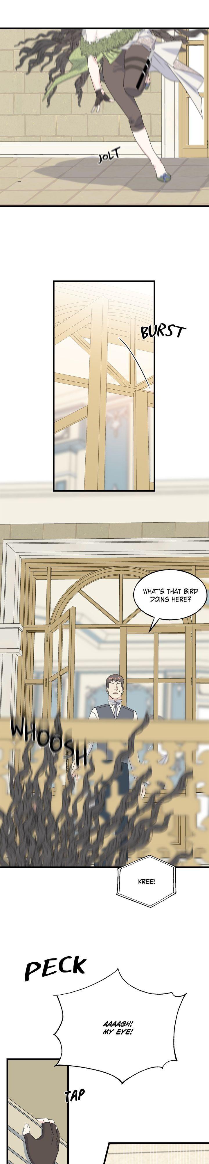 Read Crows Like Things That Sparkle Manga Online