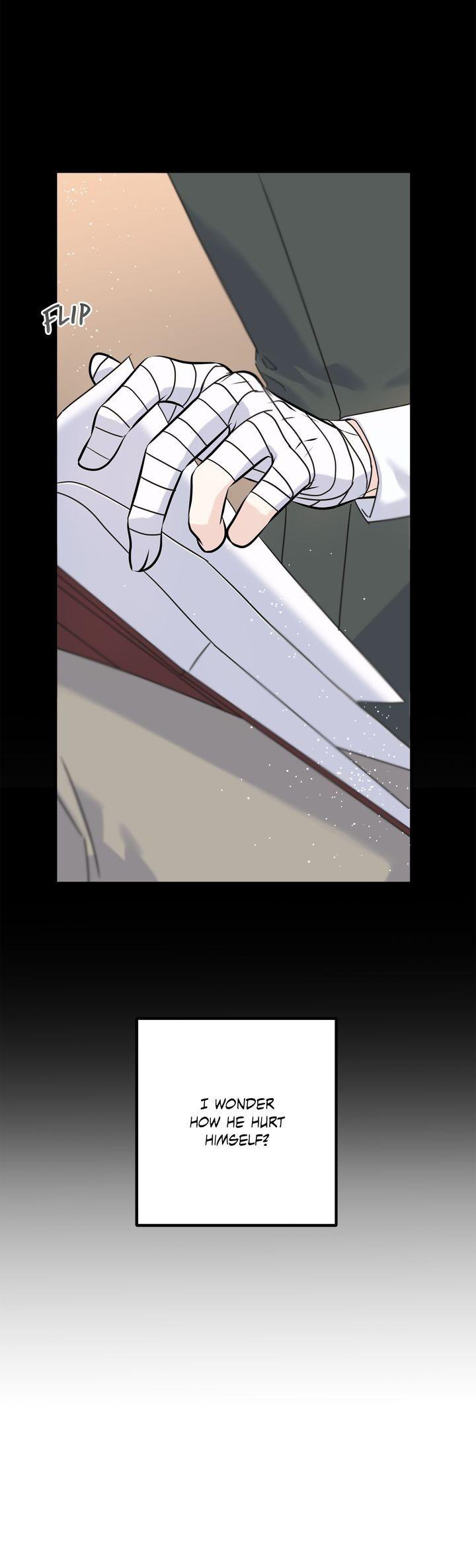 Read Crows Like Things That Sparkle Manga Online