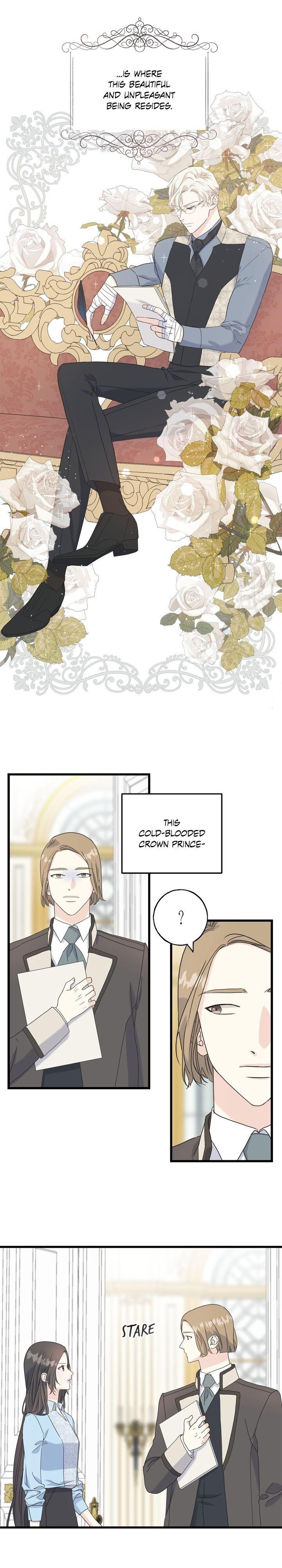 Read Crows Like Things That Sparkle Manga Online