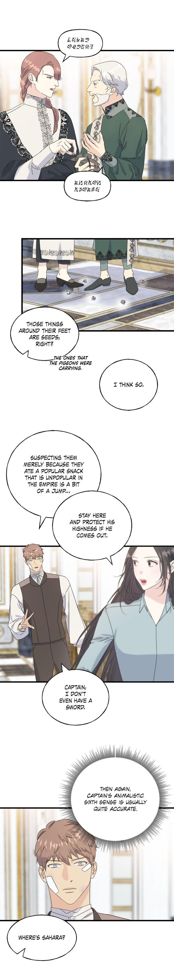 Read Crows Like Things That Sparkle Manga Online