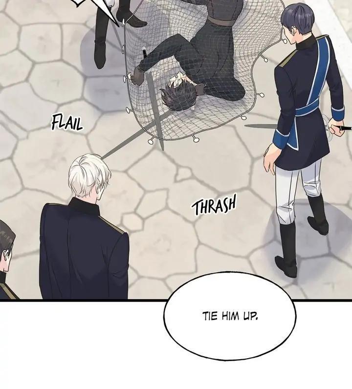 Read Crows Like Things That Sparkle Manga Online