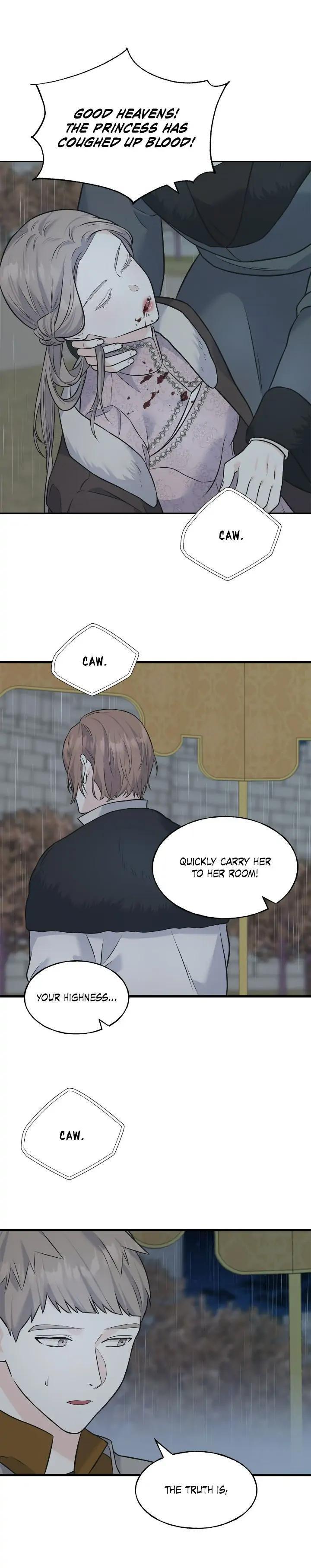 Read Crows Like Things That Sparkle Manga Online