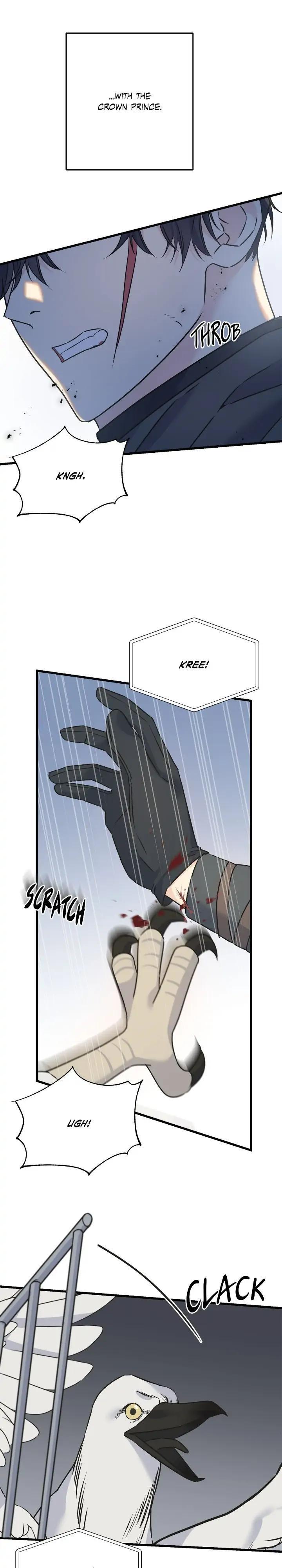 Read Crows Like Things That Sparkle Manga Online