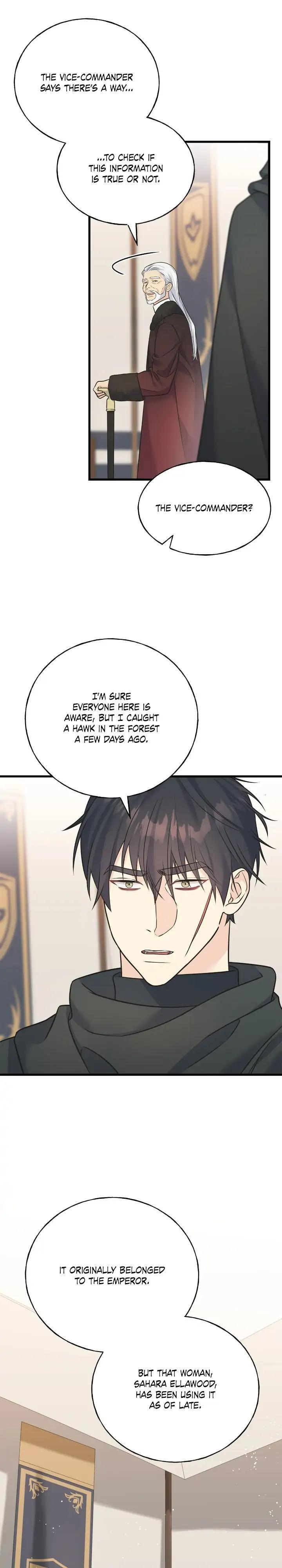 Read Crows Like Things That Sparkle Manga Online