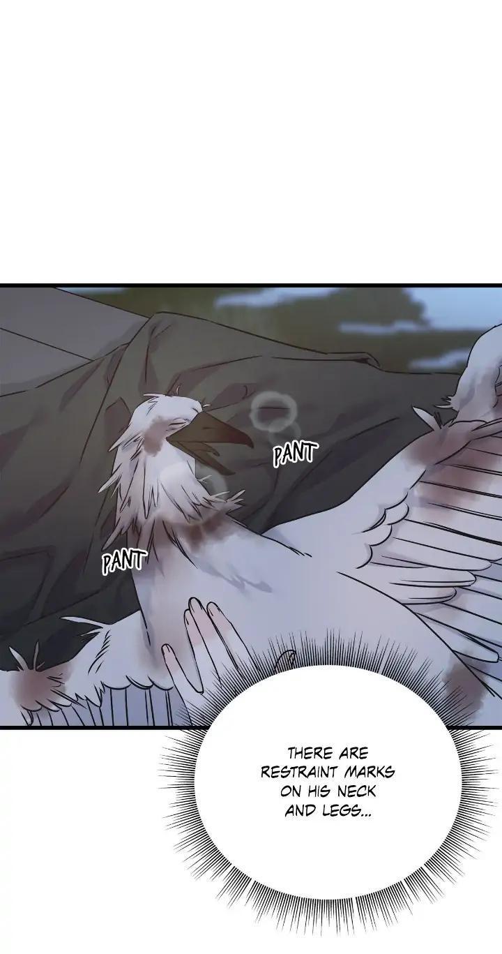 Read Crows Like Things That Sparkle Manga Online