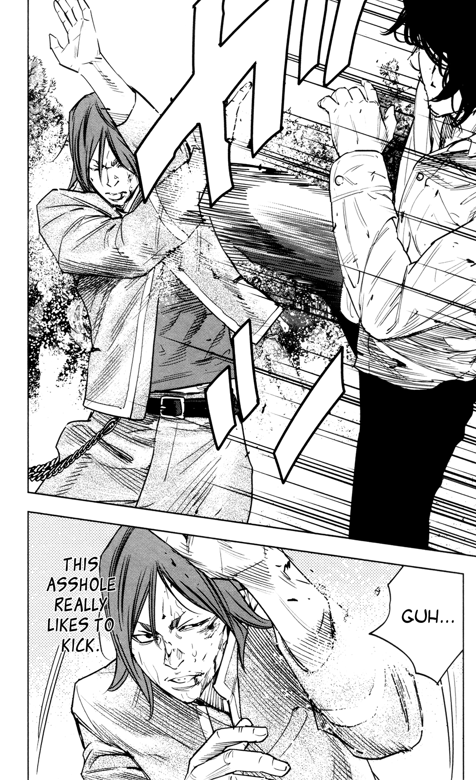 Read Crows Zero II - Suzuran x Houen Manga Online