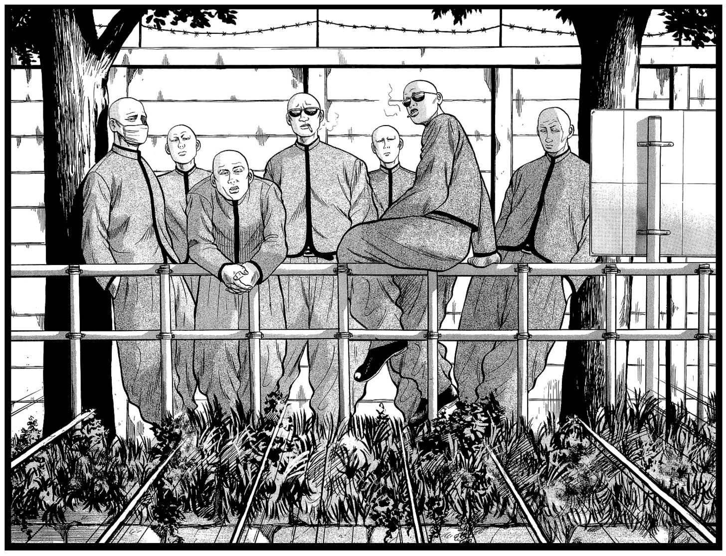 Read Crows Manga Online