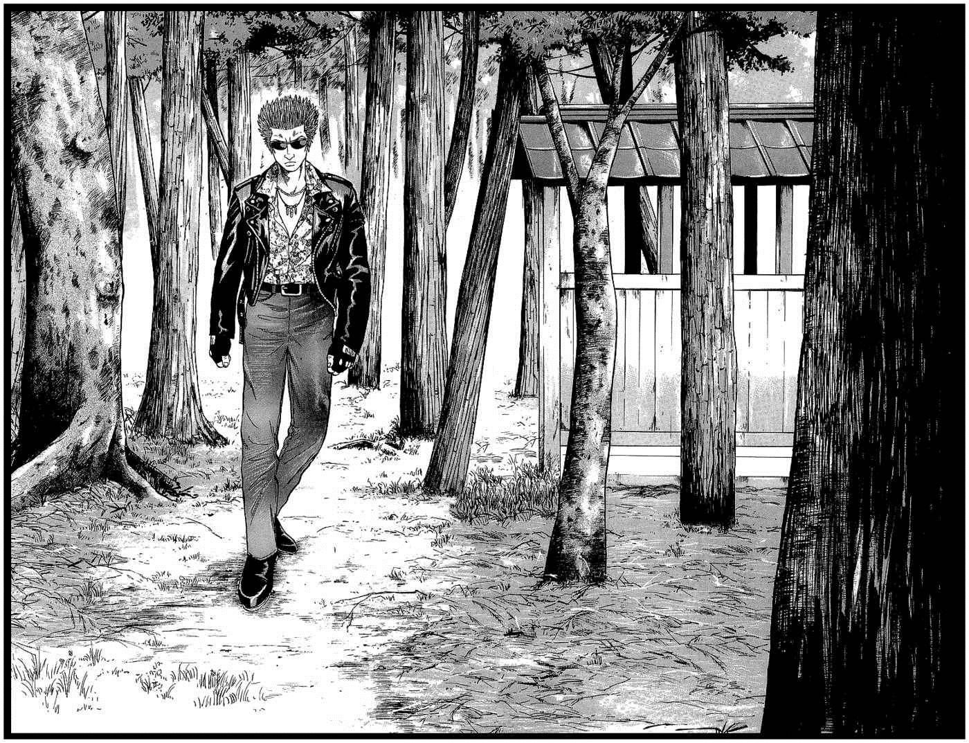 Read Crows Manga Online