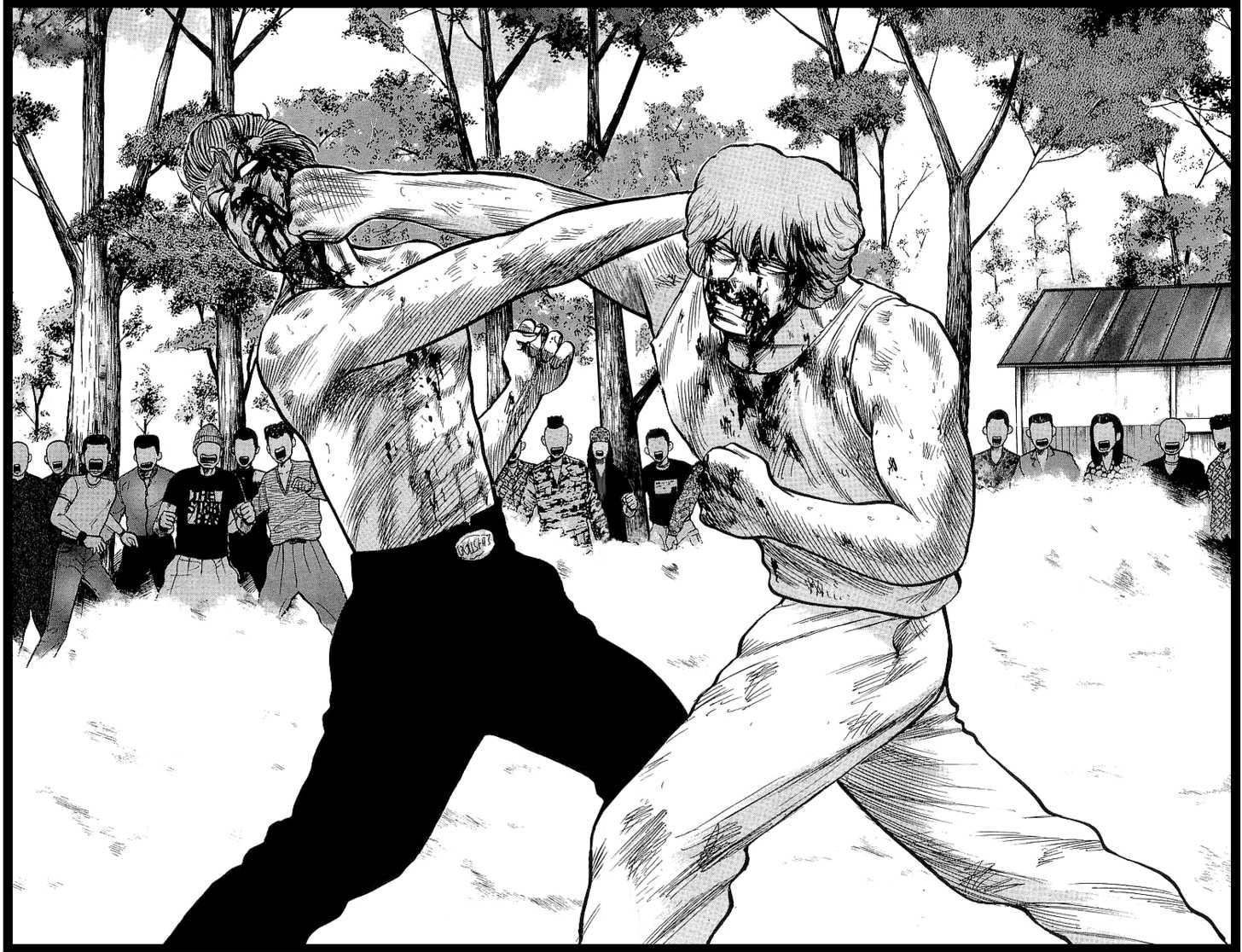 Read Crows Manga Online