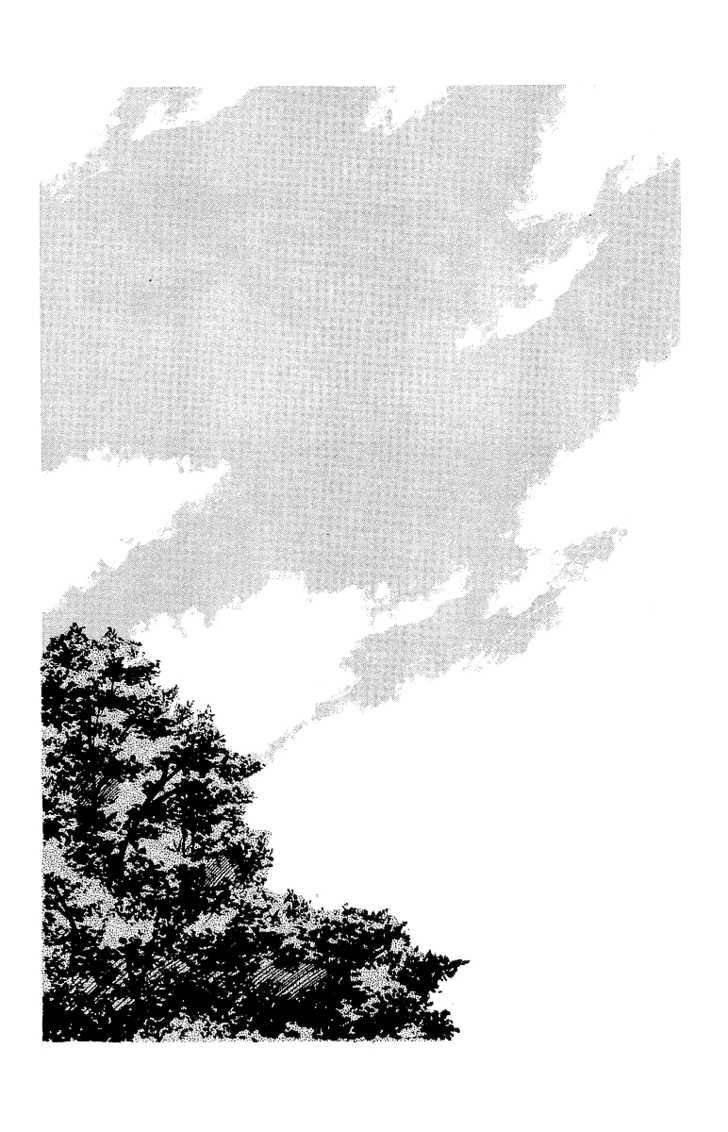 Read Crows Manga Online