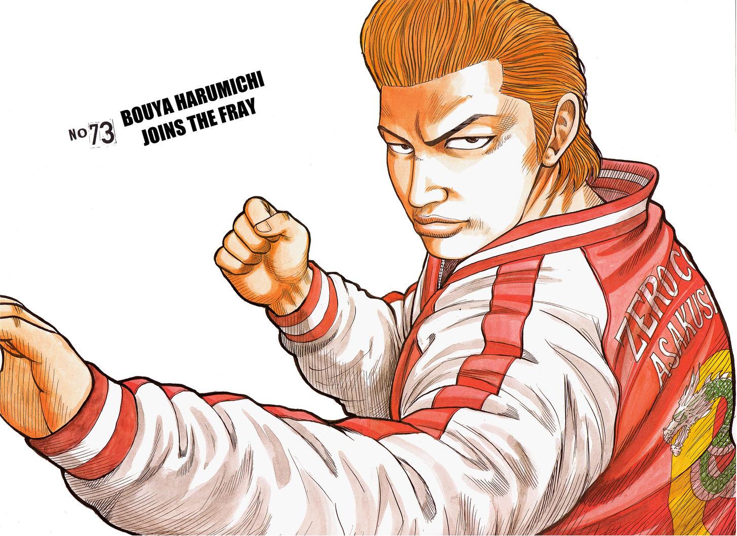Read Crows Manga Online