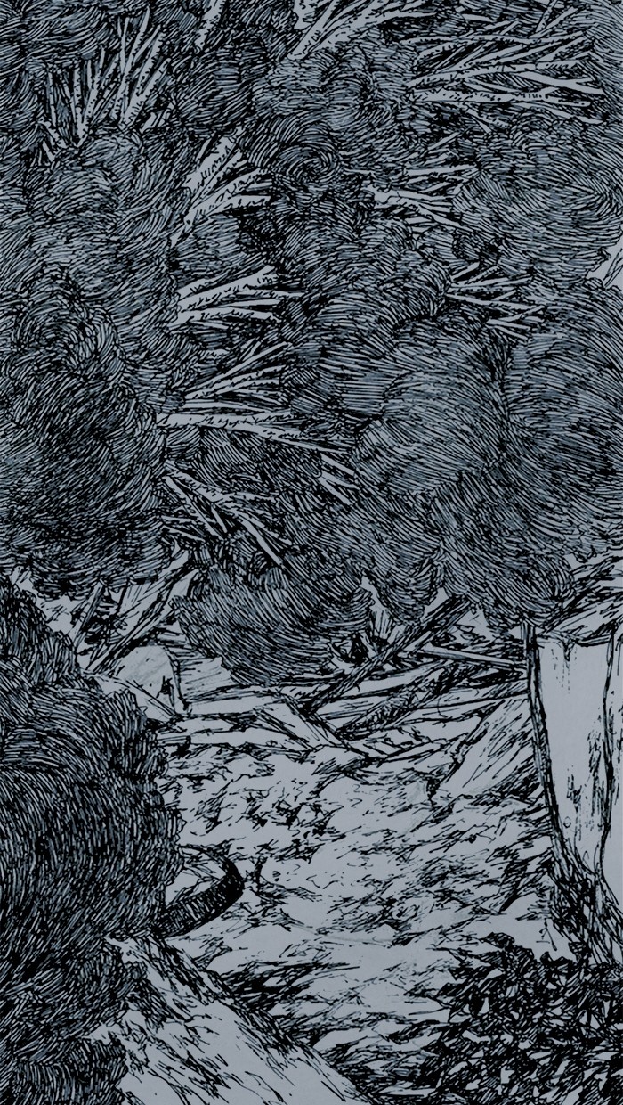 Read Distant Sky Manga Online