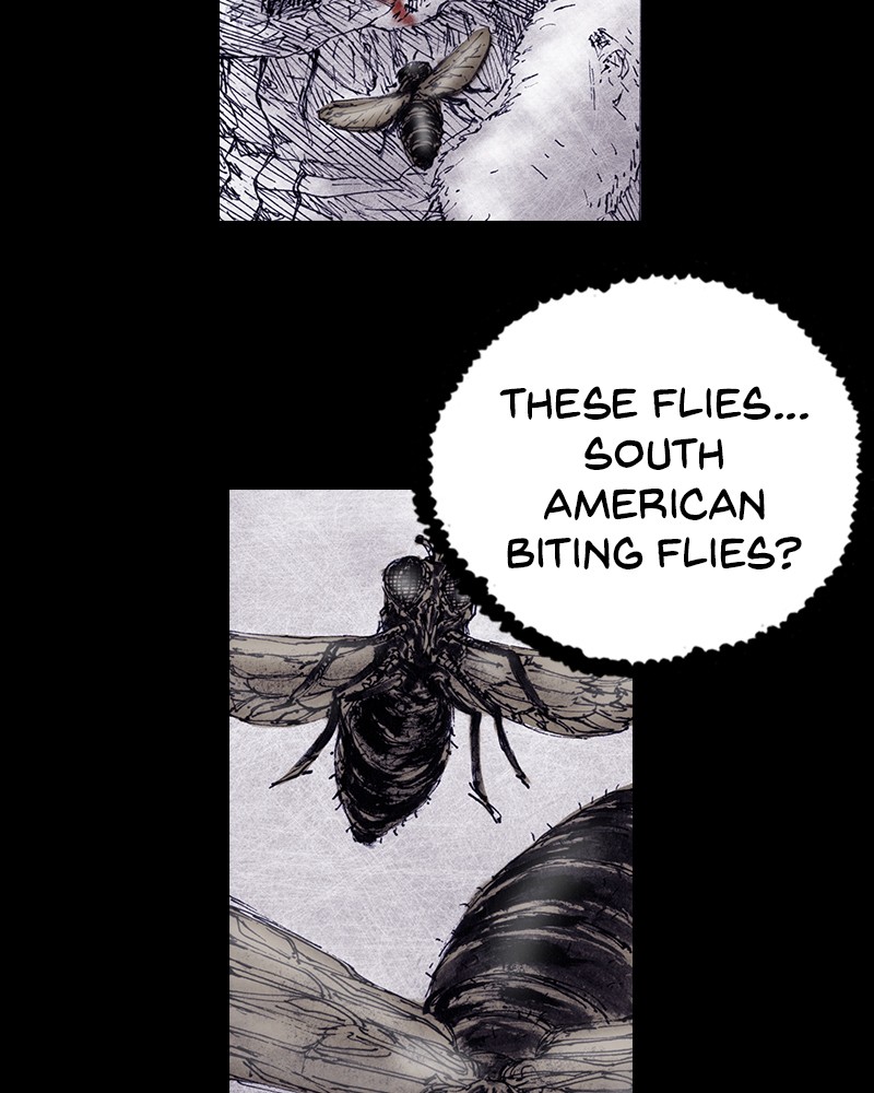 Read Distant Sky Manga Online