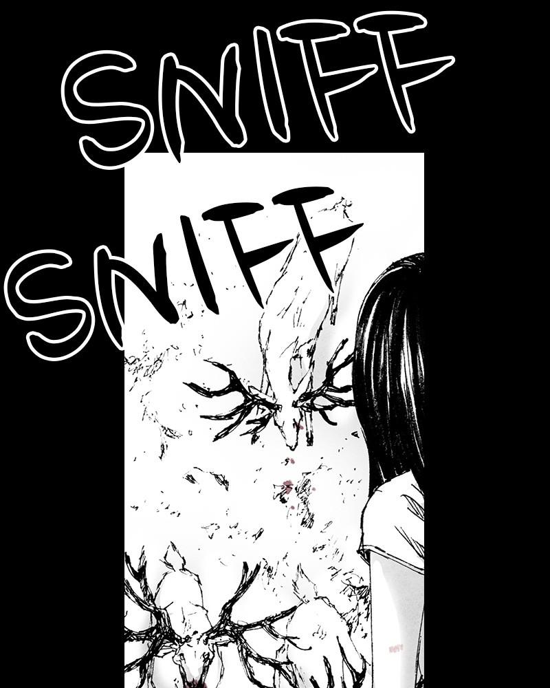 Read Distant Sky Manga Online