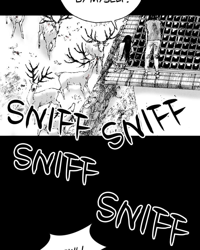 Read Distant Sky Manga Online