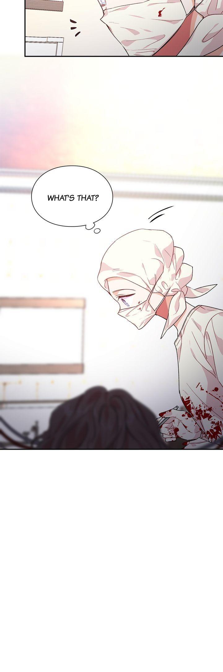 Read Doctor Elise The Royal Lady With the Lamp Manga Online