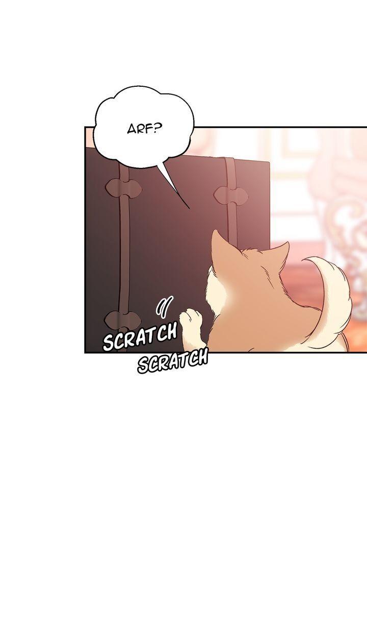 Read Doctor Elise The Royal Lady With the Lamp Manga Online