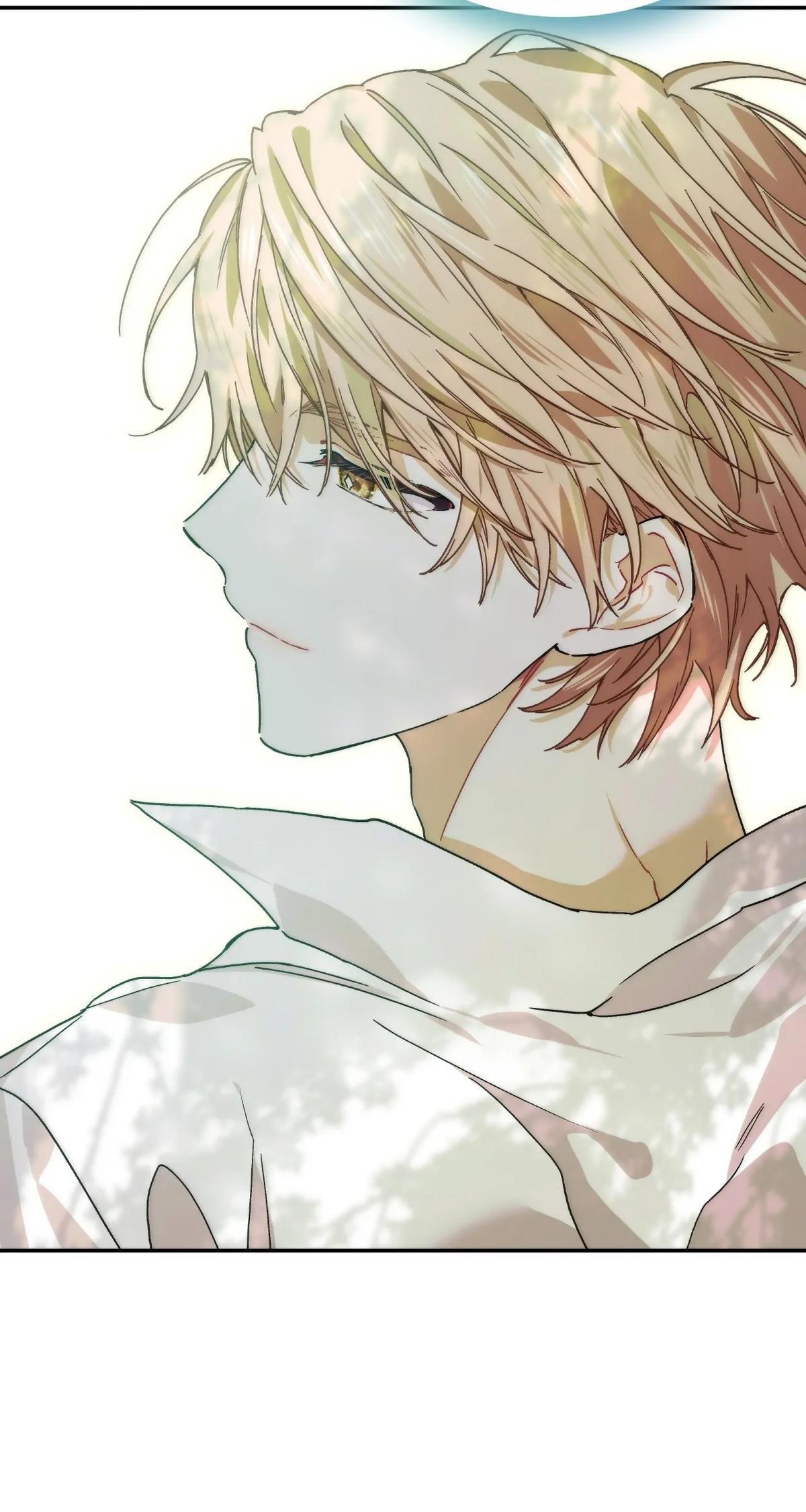 Read Doctor Elise The Royal Lady With the Lamp Manga Online