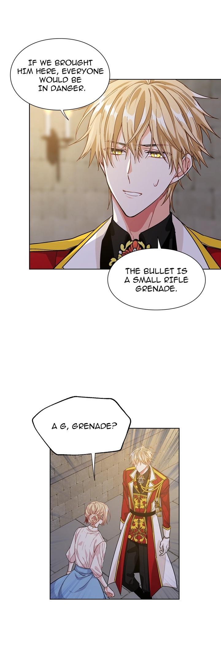 Read Doctor Elise The Royal Lady With the Lamp Manga Online