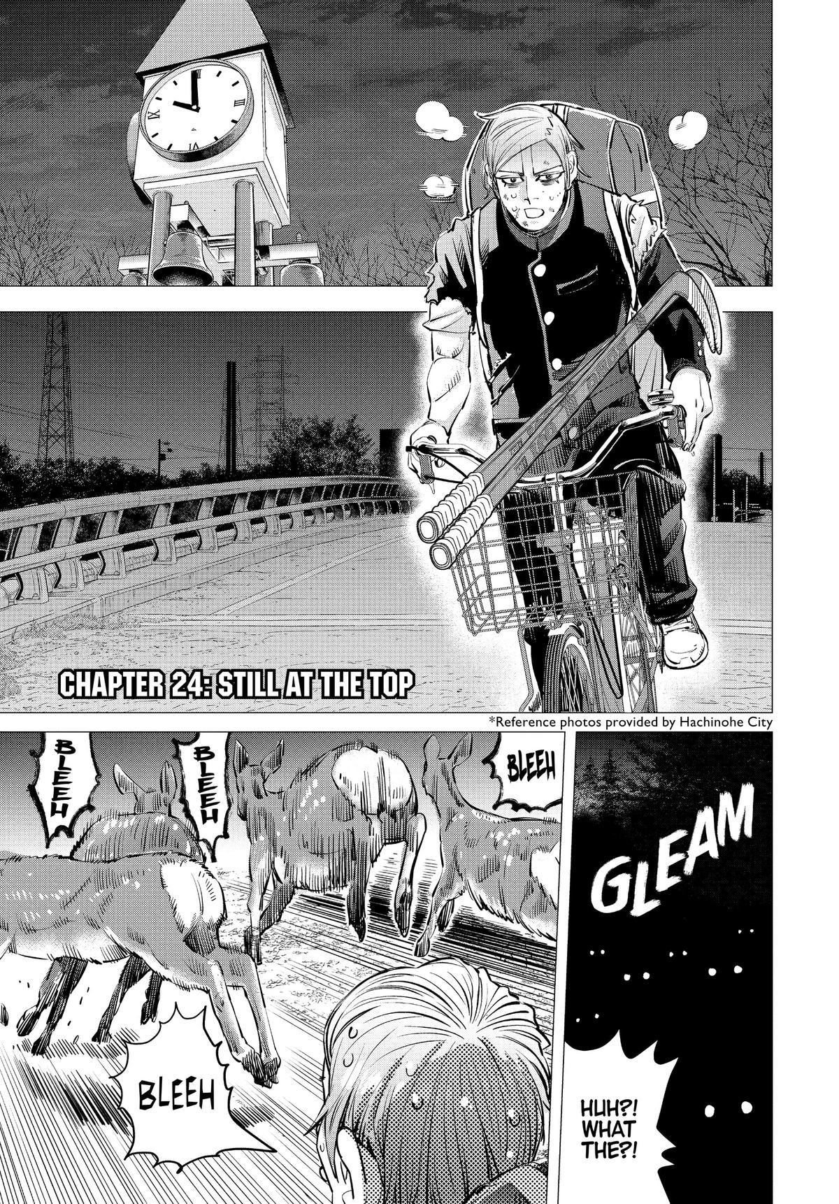 Read Dogsred Manga Online