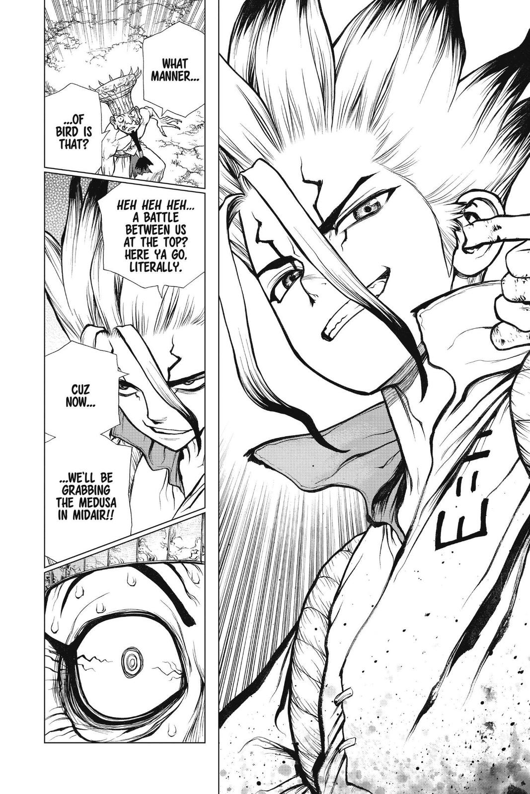 Read Dr. STONE Manga Online