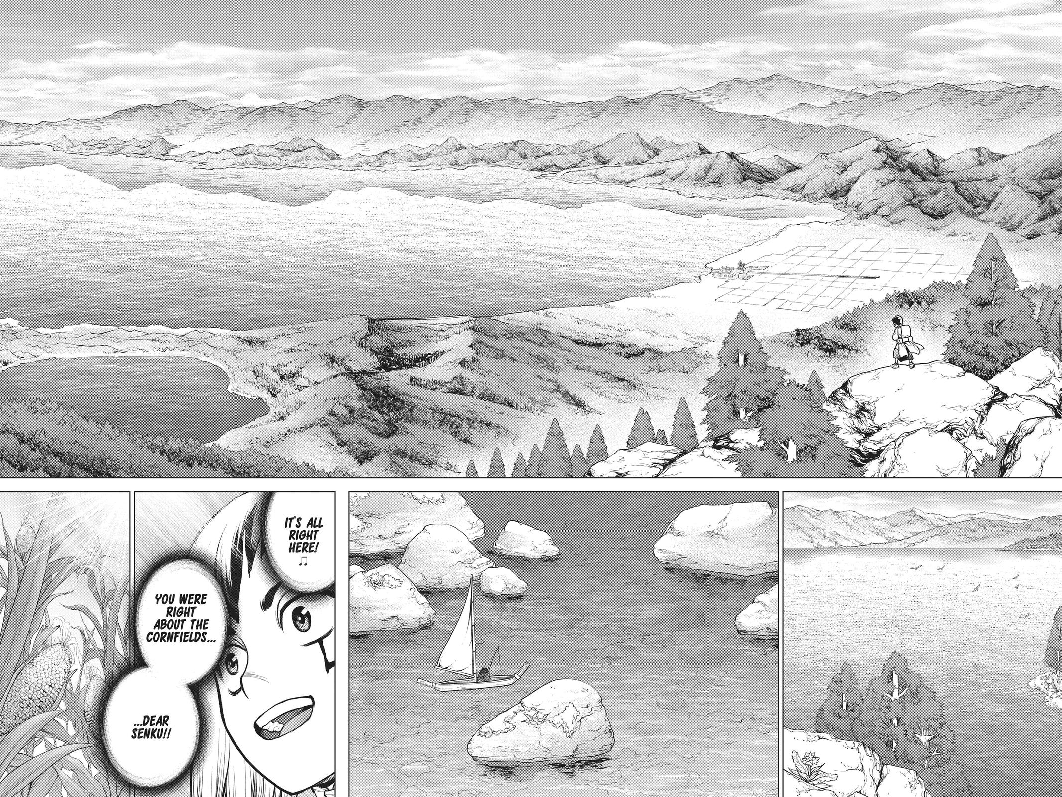 Read Dr. STONE Manga Online