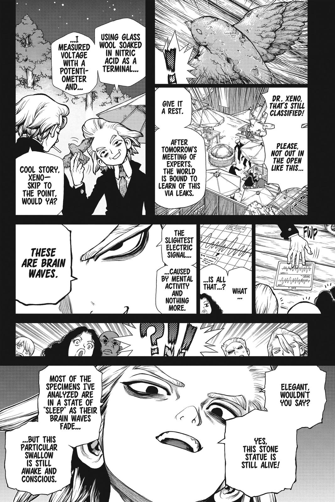 Read Dr. STONE Manga Online