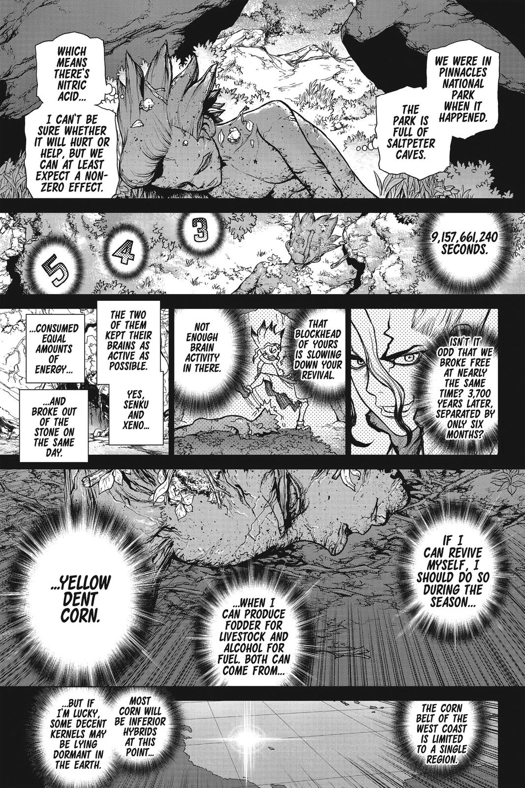 Read Dr. STONE Manga Online