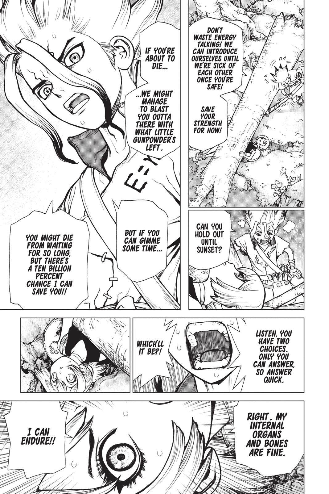 Read Dr. STONE Manga Online