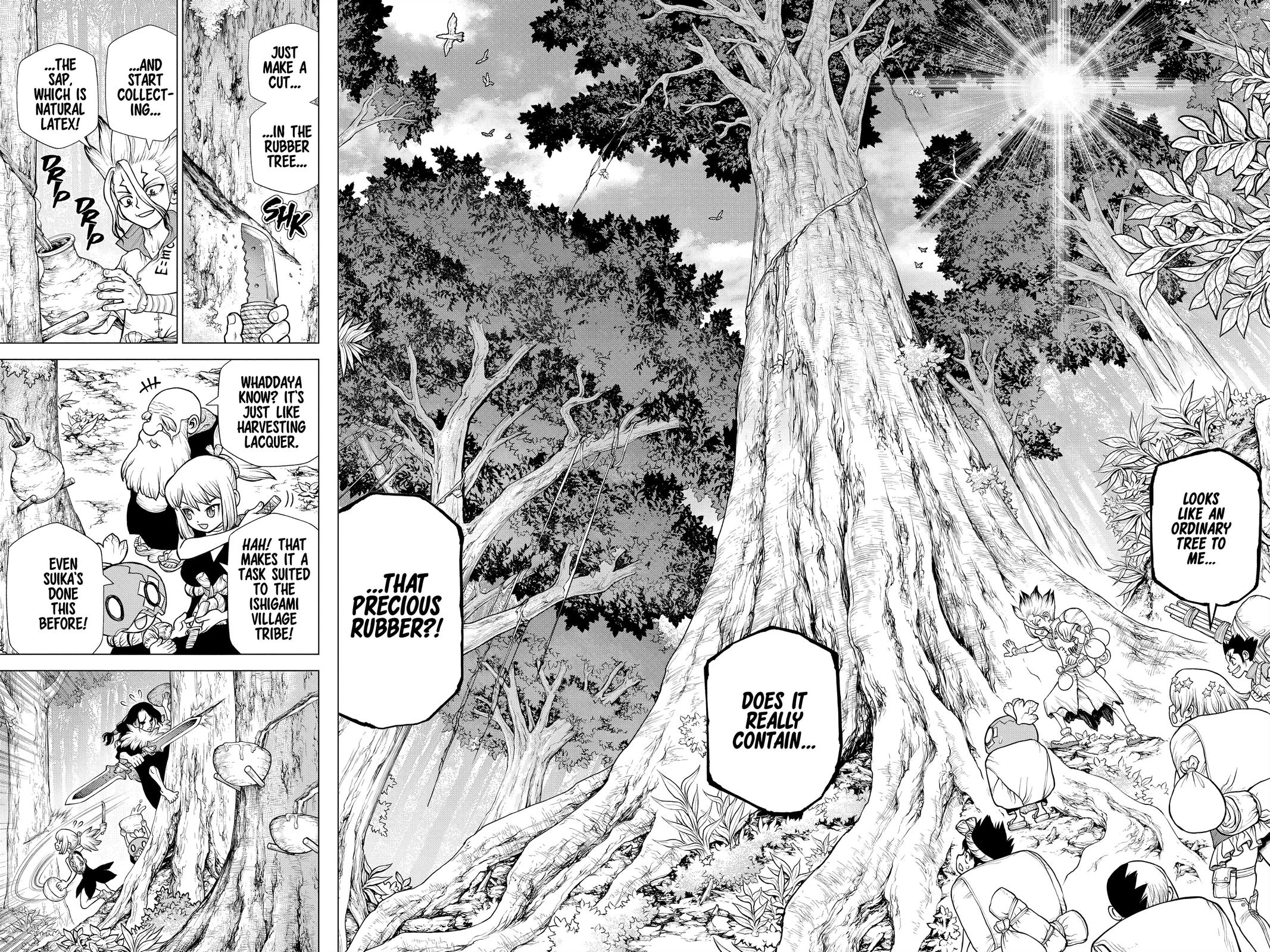 Read Dr. STONE Manga Online