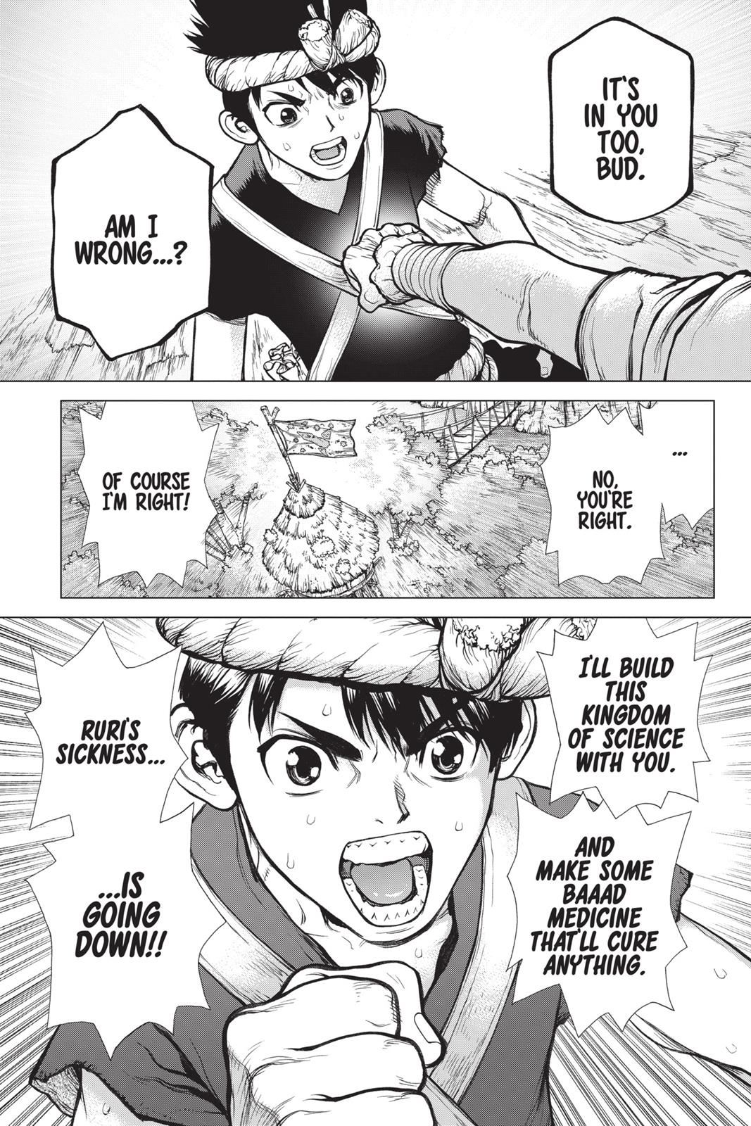 Read Dr. STONE Manga Online