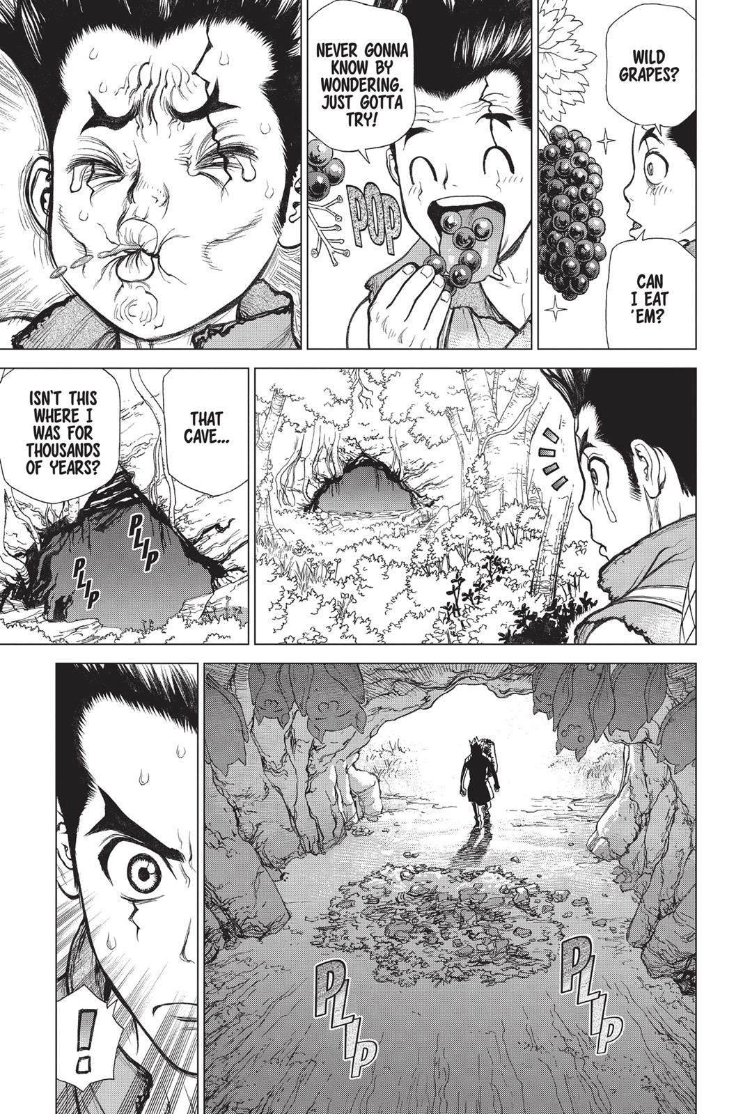 Read Dr. STONE Manga Online
