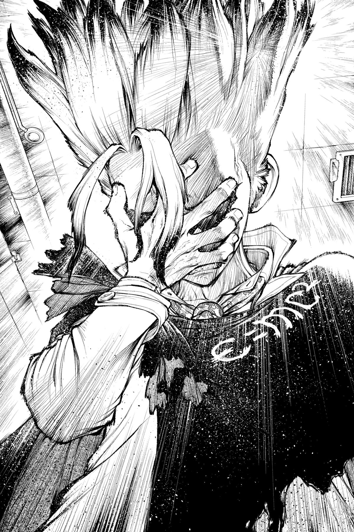 Read Dr. STONE Manga Online