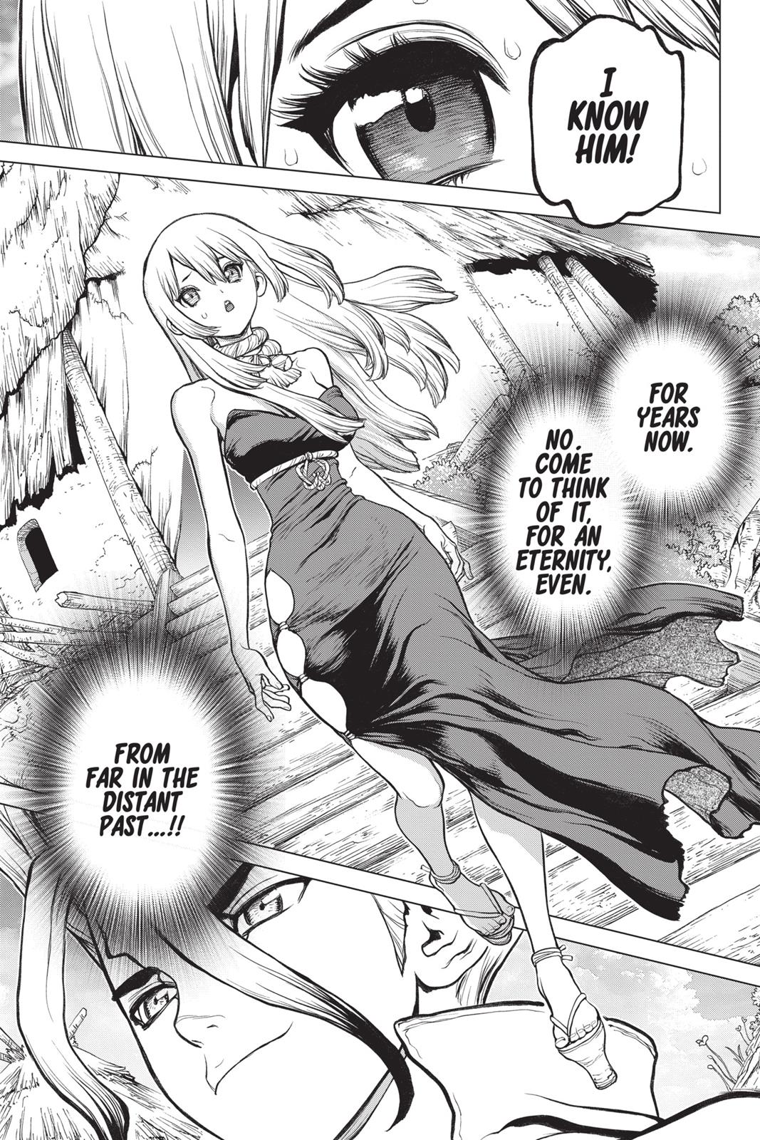 Read Dr. STONE Manga Online