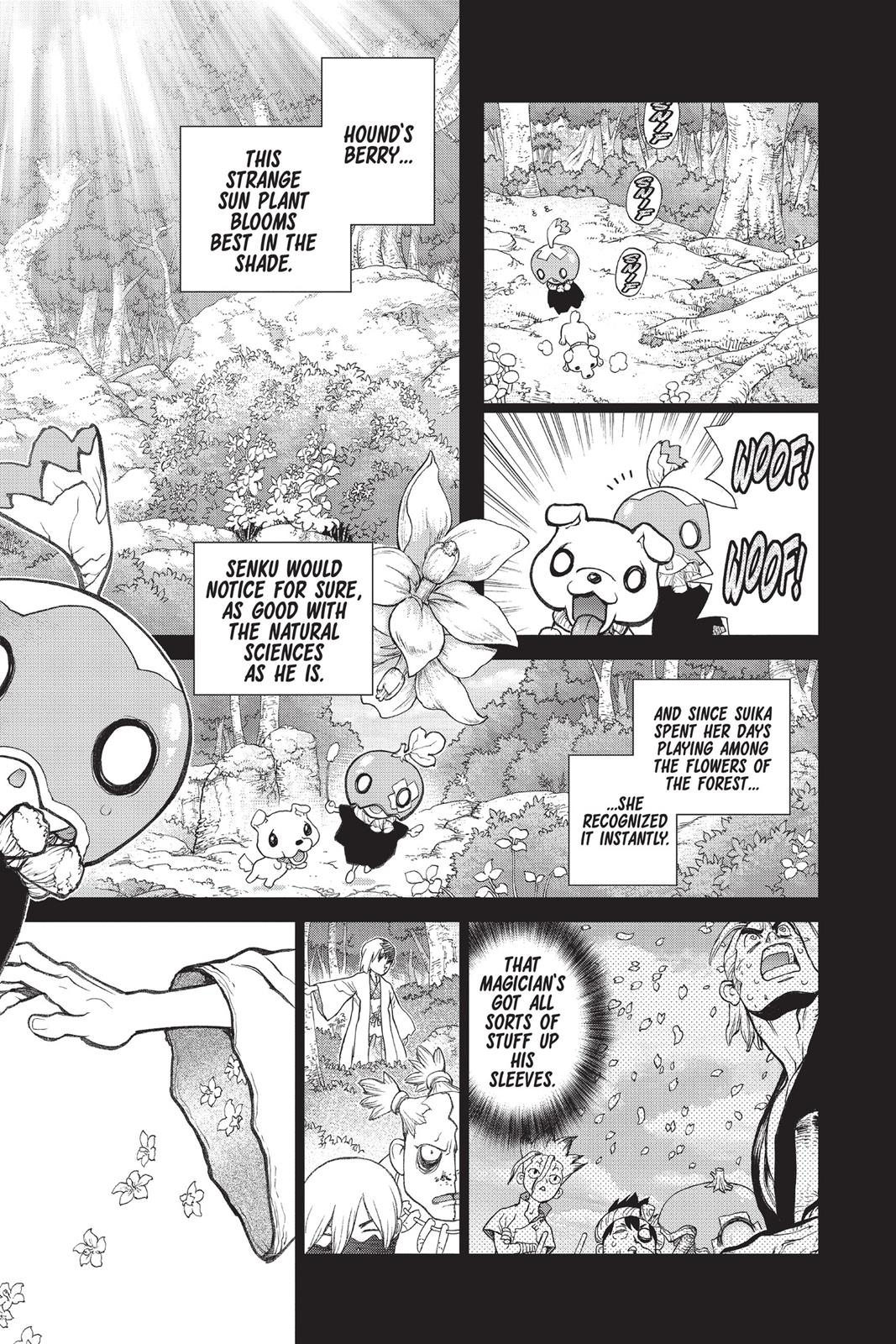 Read Dr. STONE Manga Online