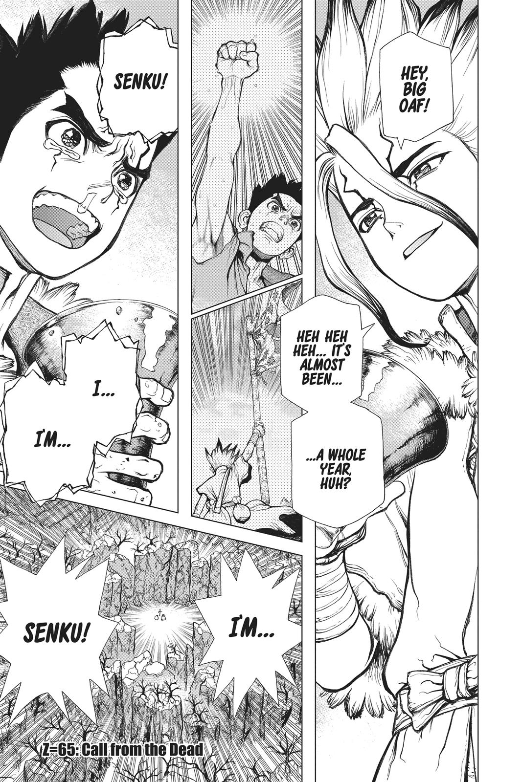 Read Dr. STONE Manga Online