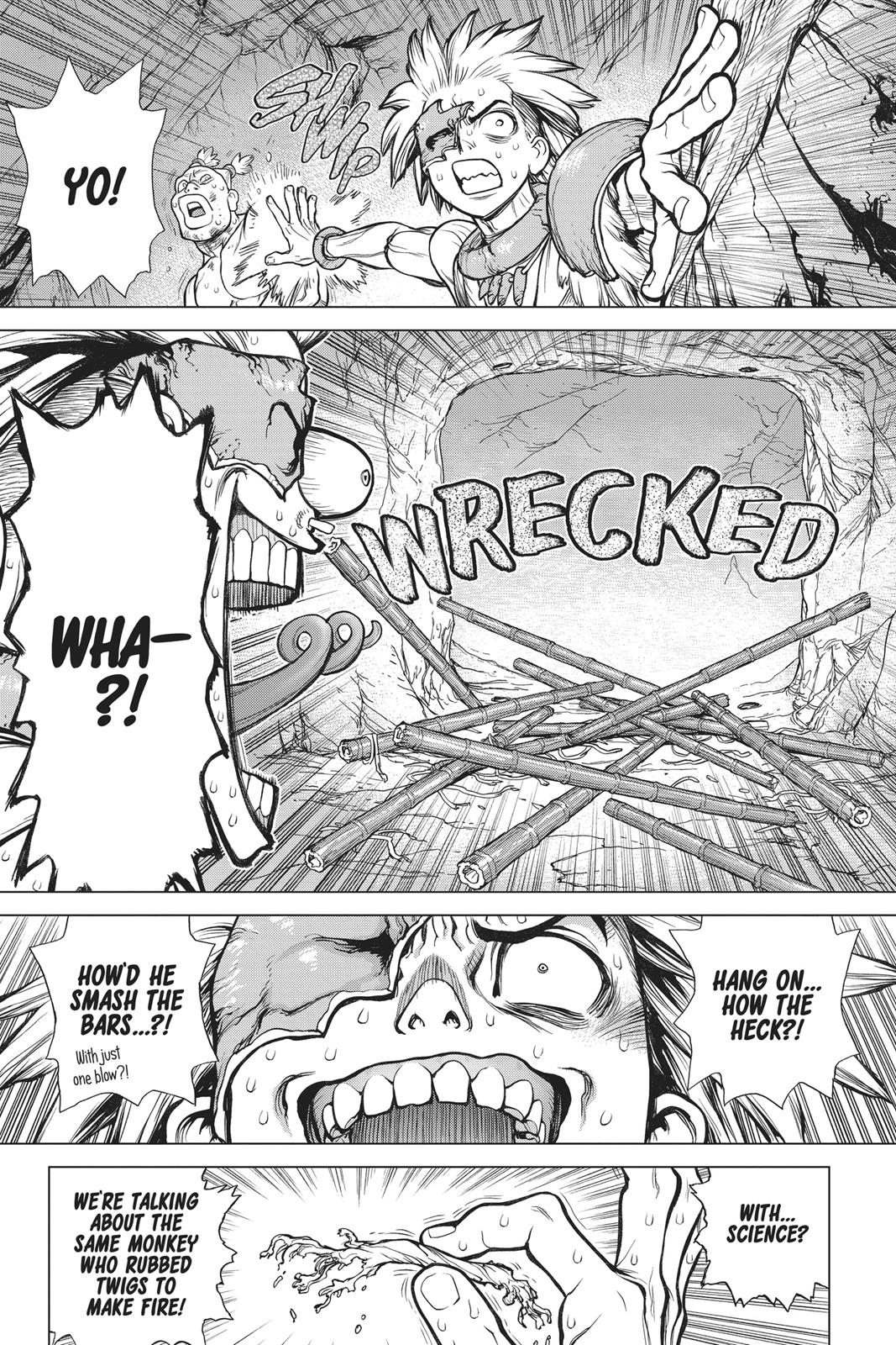 Read Dr. STONE Manga Online