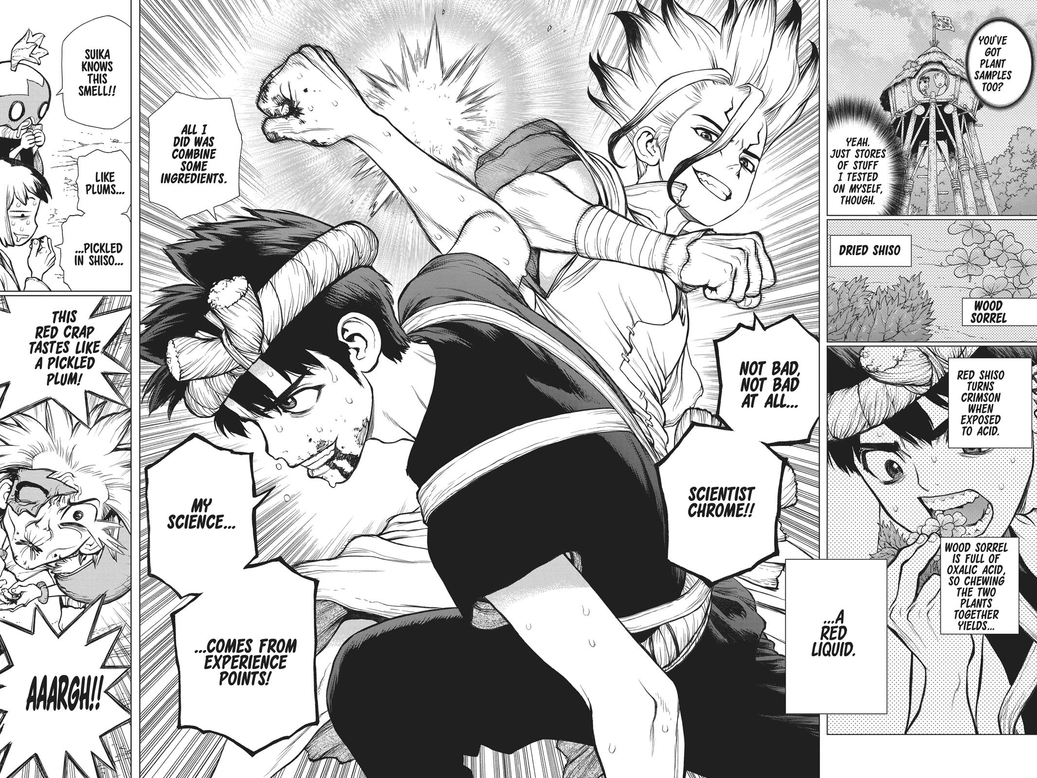 Read Dr. STONE Manga Online