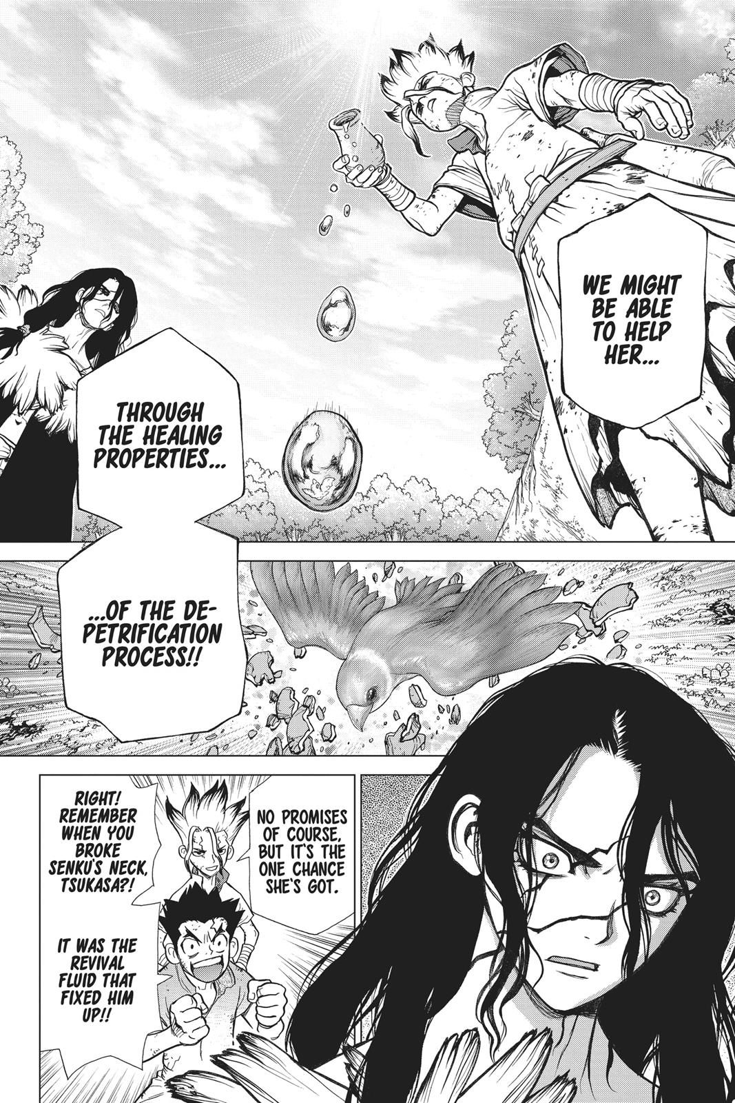 Read Dr. STONE Manga Online