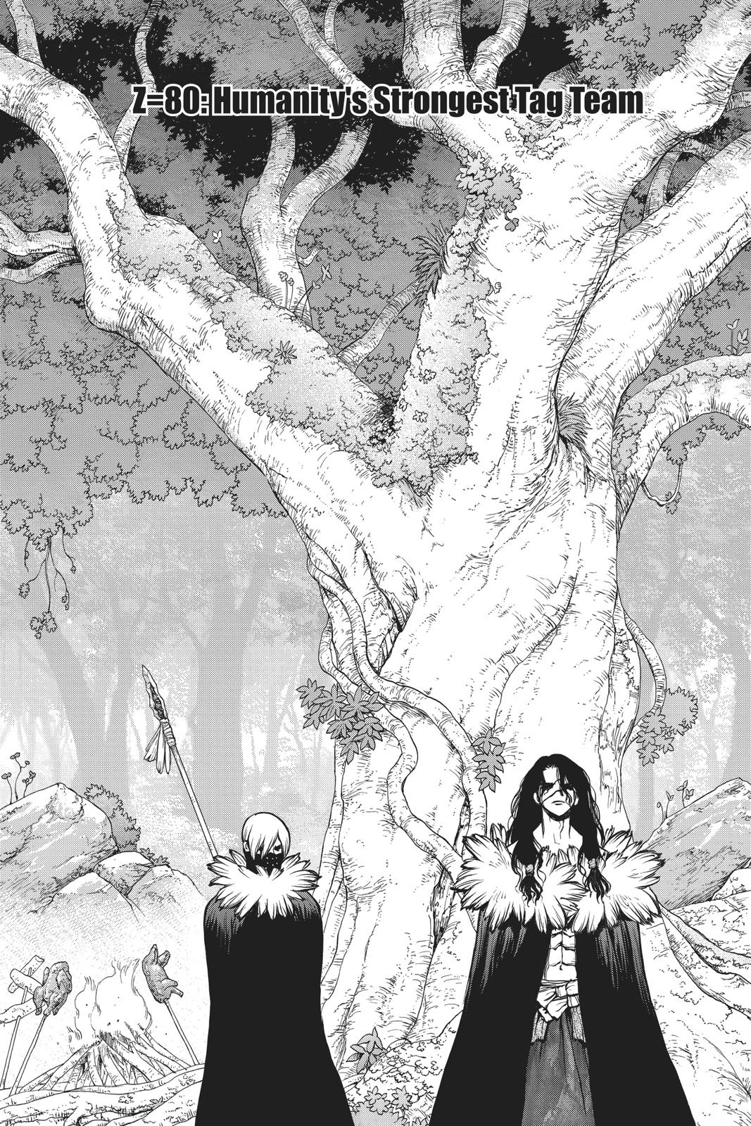 Read Dr. STONE Manga Online
