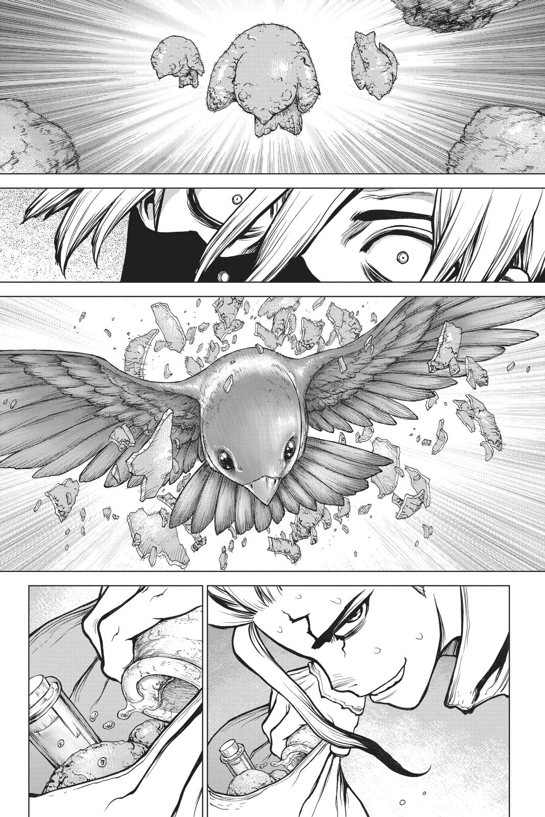 Read Dr. STONE Manga Online