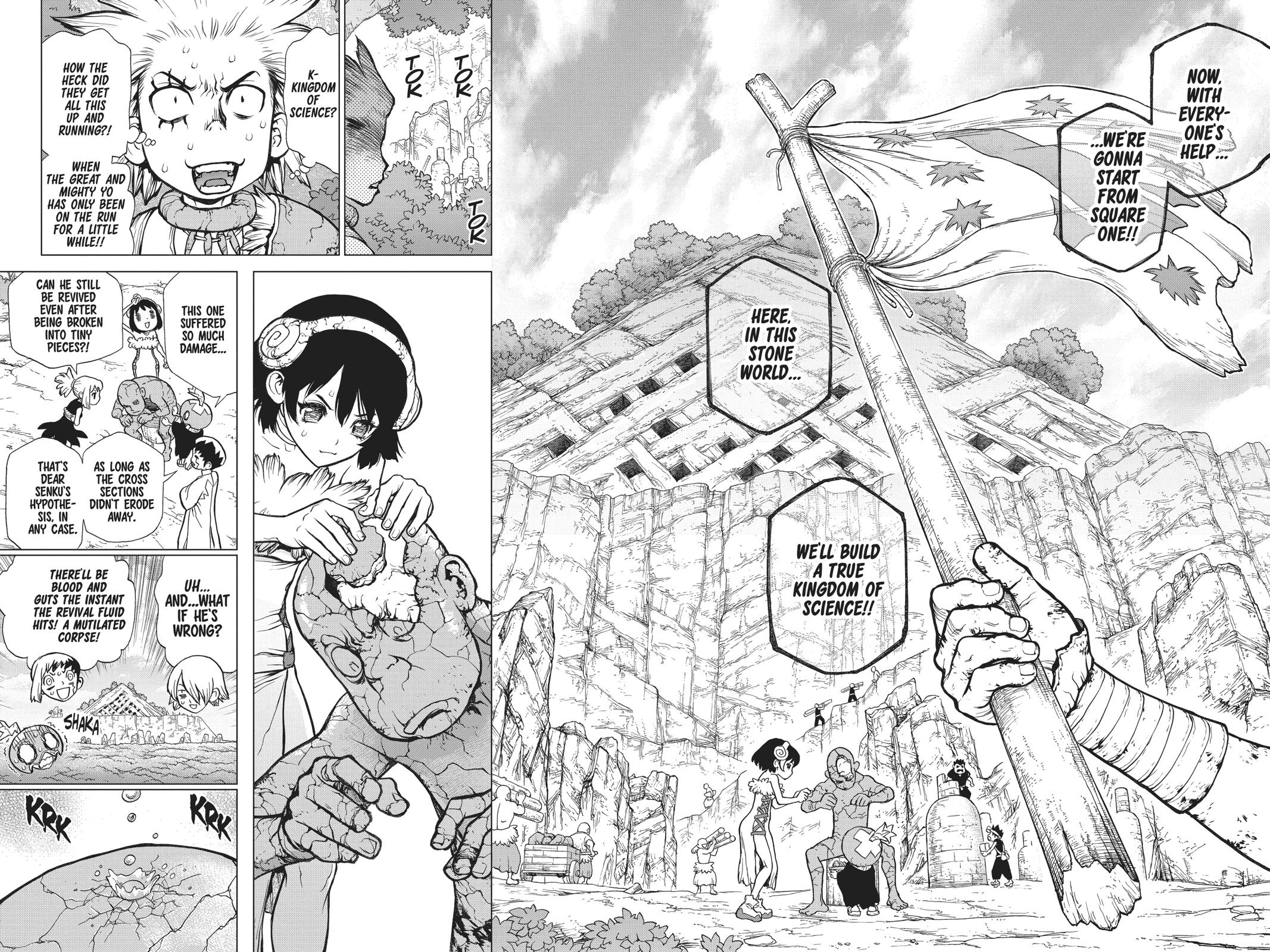 Read Dr. STONE Manga Online