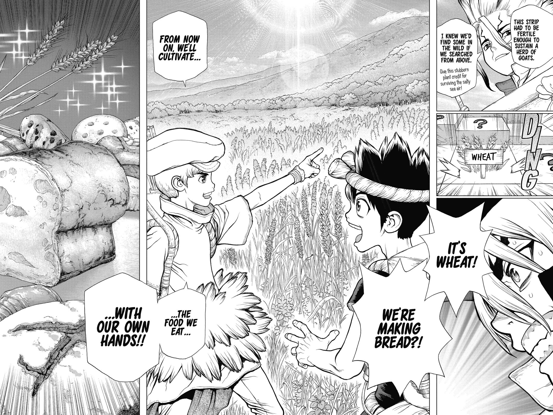 Read Dr. STONE Manga Online