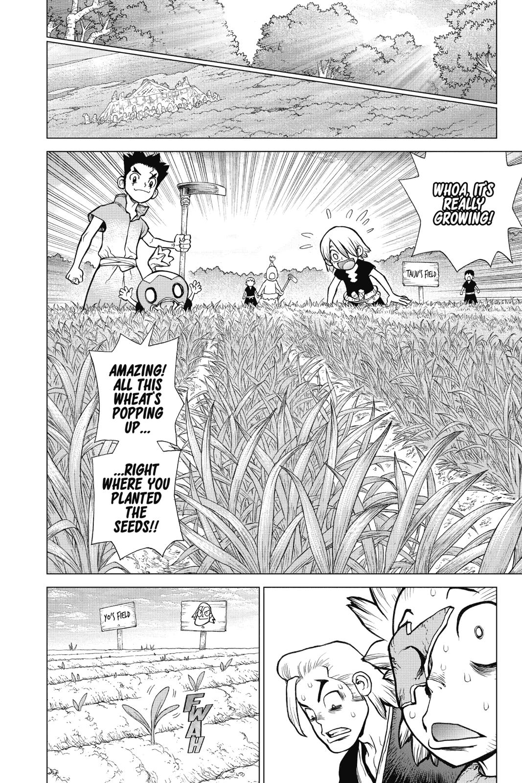 Read Dr. STONE Manga Online